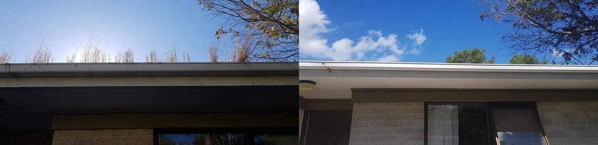 Roof and gutter cleaning in Seaview, before and after, roof or gutter cleared of debris, lichen and moss