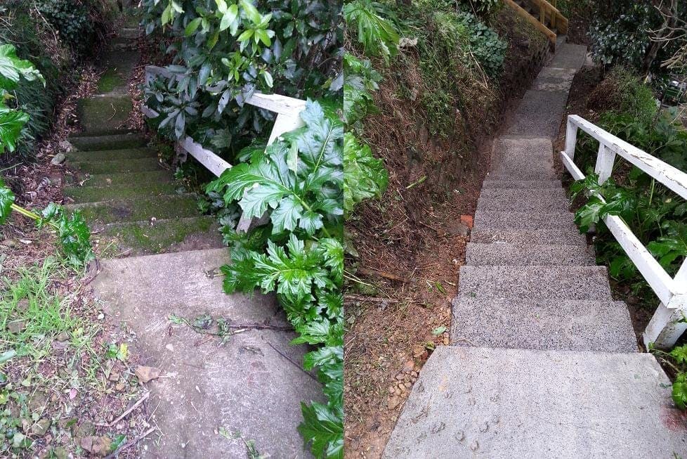 Wellington concrete steps cleaning before and after, narrow hillside concrete steps overgrown with vines and weeds before, clean clear concrete steps after a high-pressure clean and edge clearance