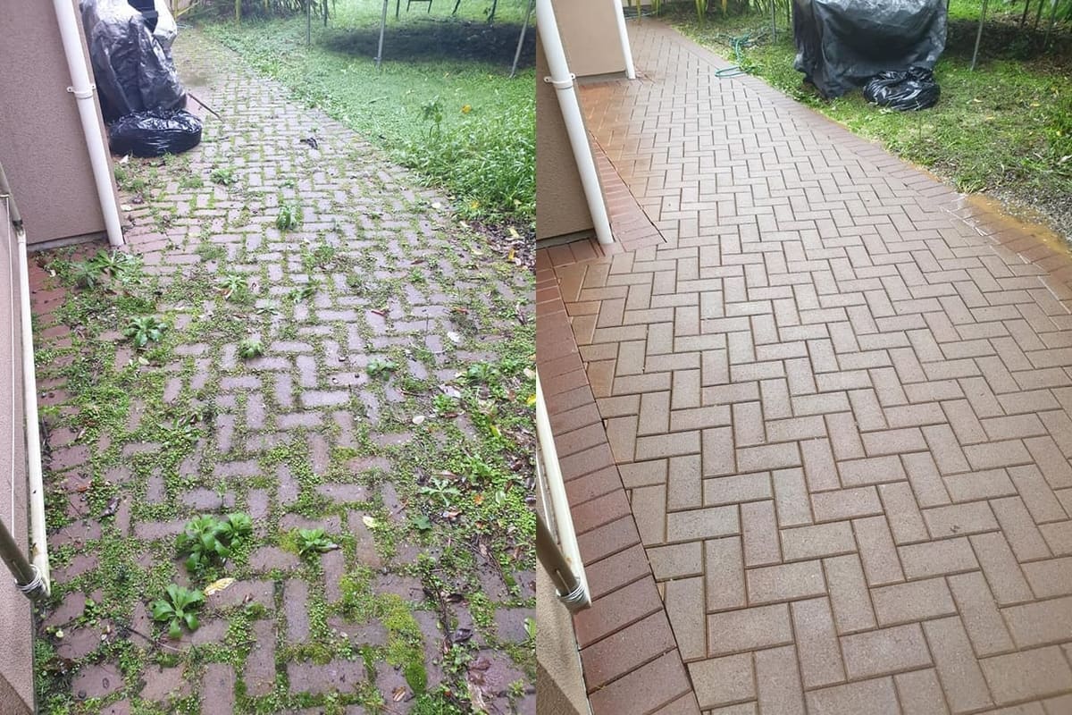 Wellington brick path cleaning before and after, herringbone brick path along the side of a house buried in weeds and moss before, crisp pink-and-charcoal brickwork after a high-pressure clean